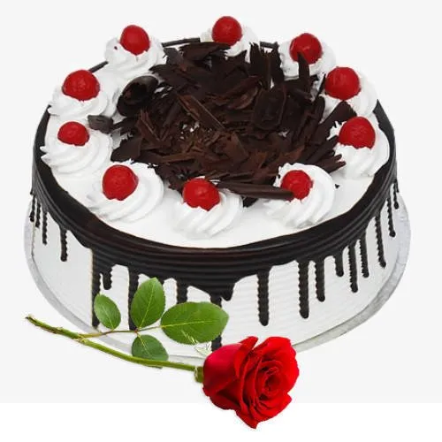 Order Eggless Black Forest Cake with Single Rose
