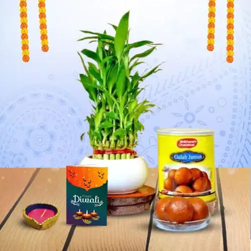 Diwali Hamper  Bamboo Plant Diya And Sweet Celebrations Diwali Hamper  Bamboo Plant Diya And Sweet Celebrations