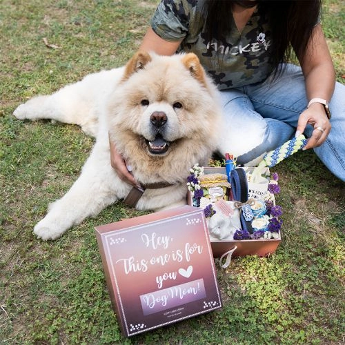 Pampering Gift Set for Dog Lovers