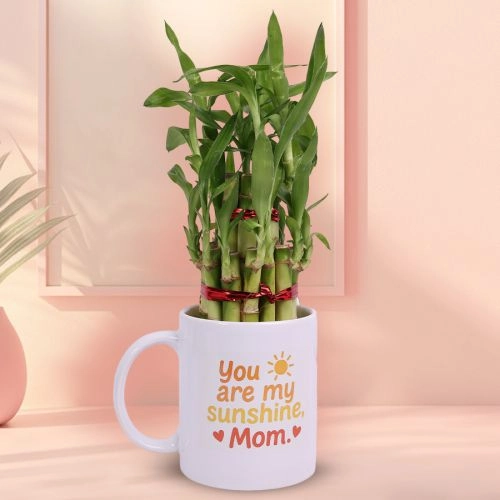 Two Tier Bamboo Plant  N  Mug