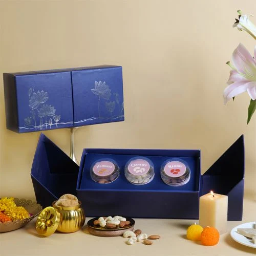 Premium Diwali Nutty Treats Gift Set