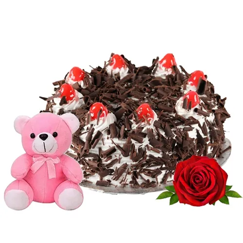 Deliver Black Forest Cake with Red Rose N Teddy