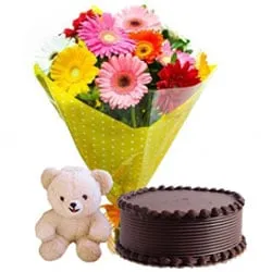 Order Mixed Gerberas Bouquet with Soft Teddy and Chocolate Cake