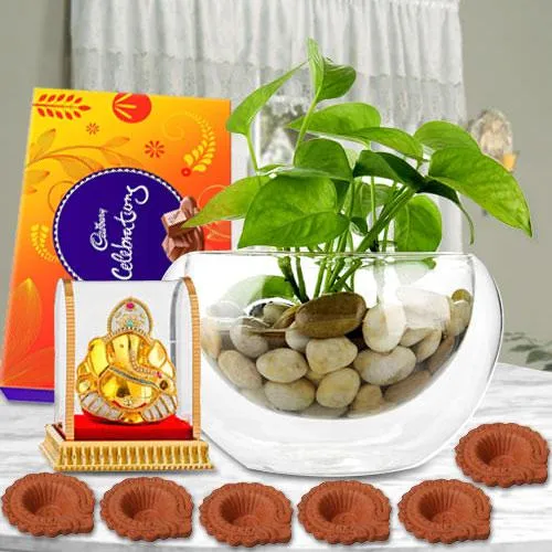 Wonderful Eco Friendly Combo Gift Wonderful Eco Friendly Combo Gift