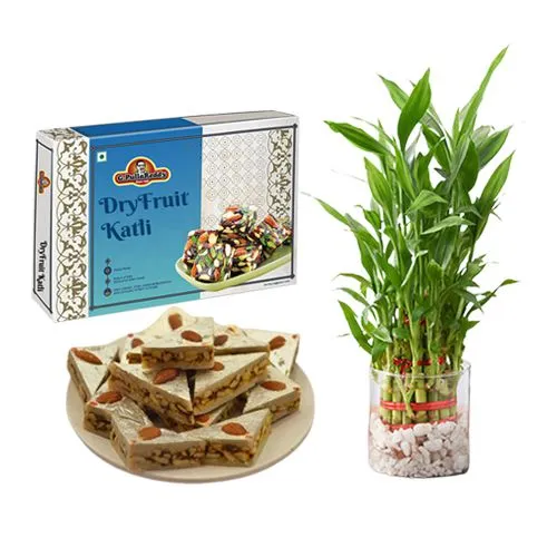 Extraordinary DryFruit Katli from G Pulla Reddy with 3 Tier Lucky Bamboo Plant