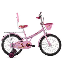 Bewitched BSA Champ Flora Cycle