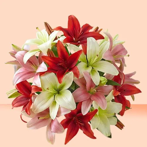 Winter DelightColorful Lilies Bouquet
