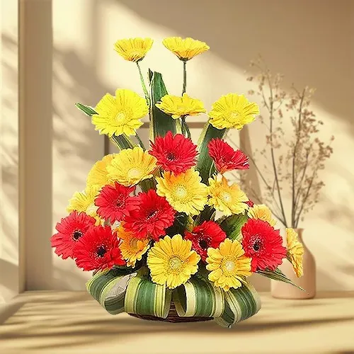 Buy Arrangement of Gerberas Online