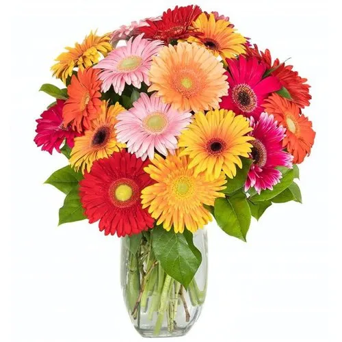 Order Gift of Mixed Gerberas in a Glass Vase Online