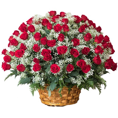 Shop Online for Dutch Red Roses Arrangement for Rose Day