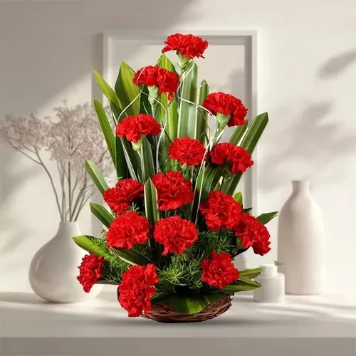 Shop Basket of Red Carnations Online