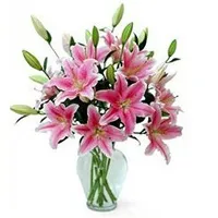 Shop for Pink Lilies in Vase