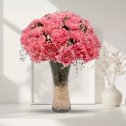 Online Gift of Pink Carnation in a Glass Vase<br>