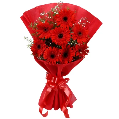 Send Bunch of Red Gerberas Online