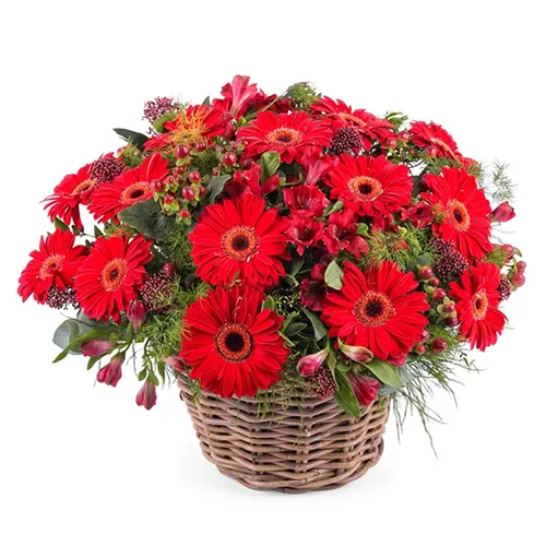 Online Assemble of Red Gerberas