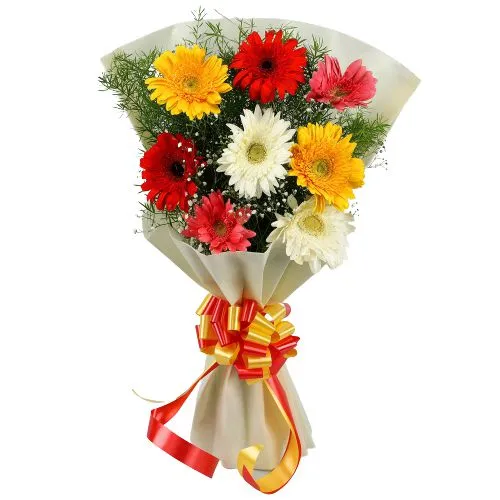 Deliver Bouquet of Mixed Gerberas Online
