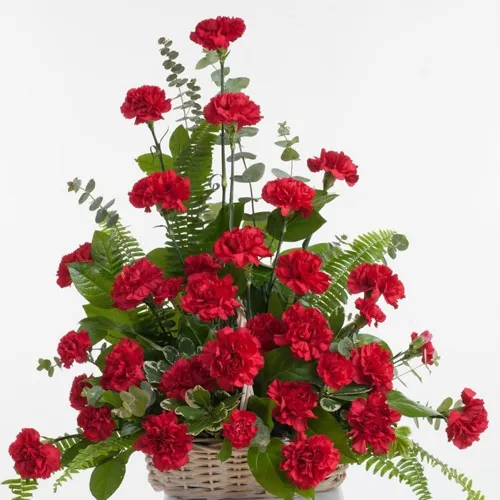 Buy Online Red Carnations Arrangement