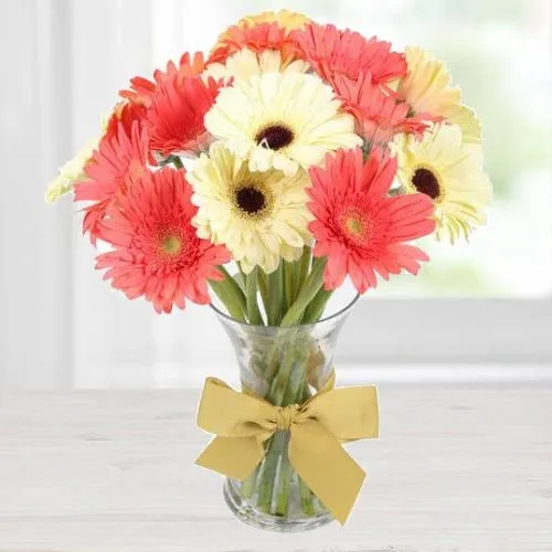 Order Gerberas in a Vase Online