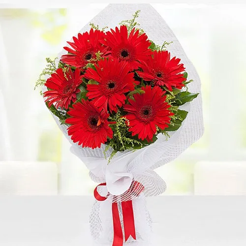 Send Red Gerberas Bouquet Online