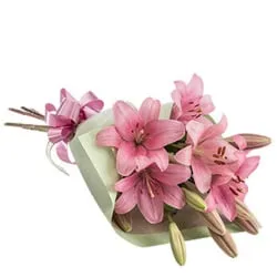Deliver Bouquet of Lilies