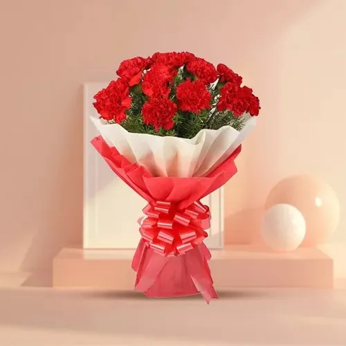 Send Online Red Carnations Bouquet
