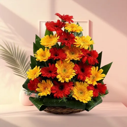 Order Arranged Red N Yellow Gerberas Online