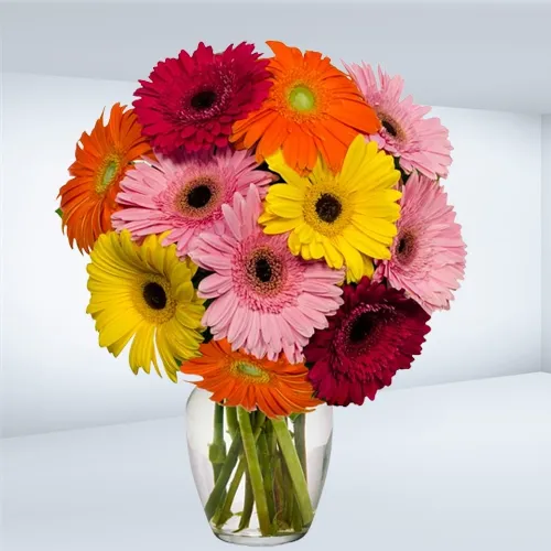 Buy Online Mixed Gerberas in a Glass Vase