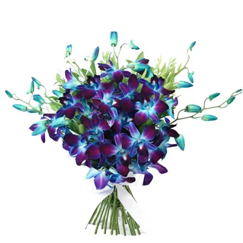 Book Online Blue Orchids Bouquet Book Online Blue Orchids Bouquet