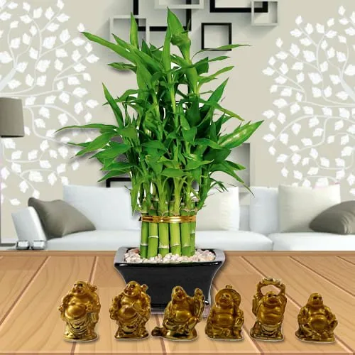 Order 2 Tier Bamboo Plant with Set of Laughing Buddha