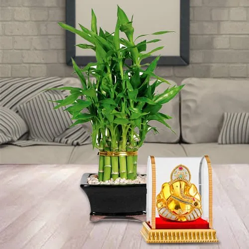 Send 2 Tier Lucky Bamboo Plant with Vignesh Ganesh Murti