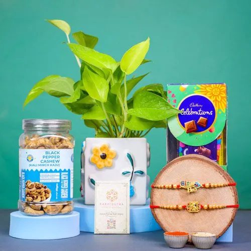 Divine Rakhi Combo  Sweets  N  Pothos Plant