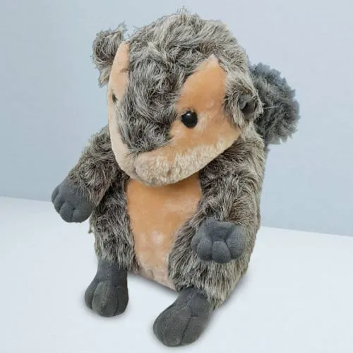Shop for Squirrel Soft Toy