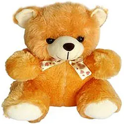 Deliver Teddy Bear Soft Toy